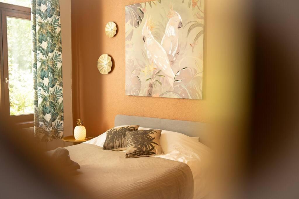 Camelia, Un Charme Montois Villa Монс Екстериор снимка